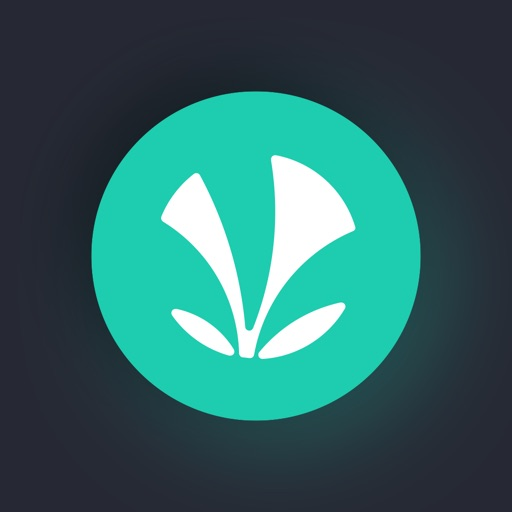 Jio Saavn